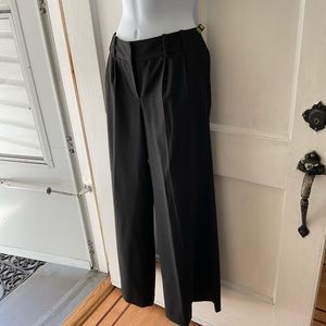 Express Dress pants with wide leg
